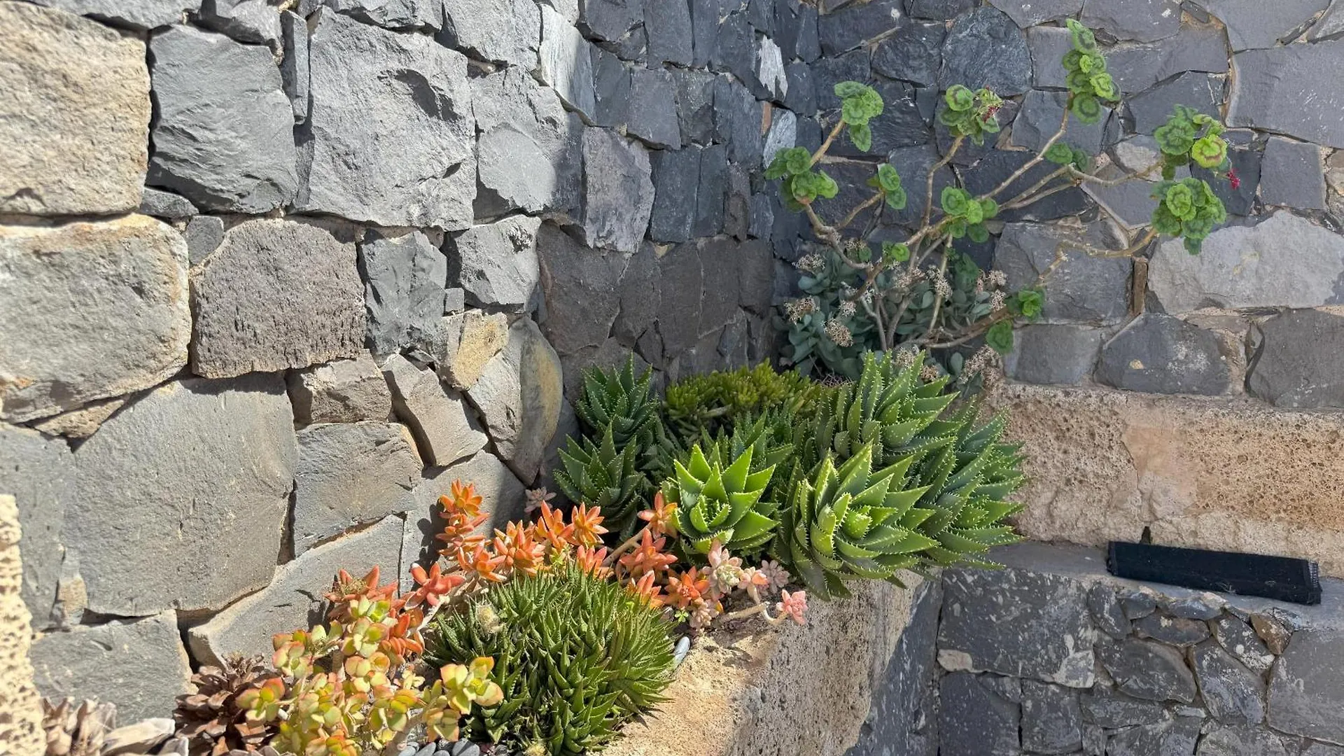 Casa Rural Balcones De Erques Guia de Isora  Holiday home Guia de Isora (Tenerife)